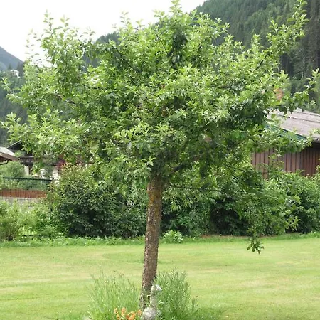 Haus Christophorus Lägenhet *