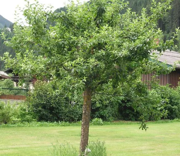 Haus Christophorus Daire *